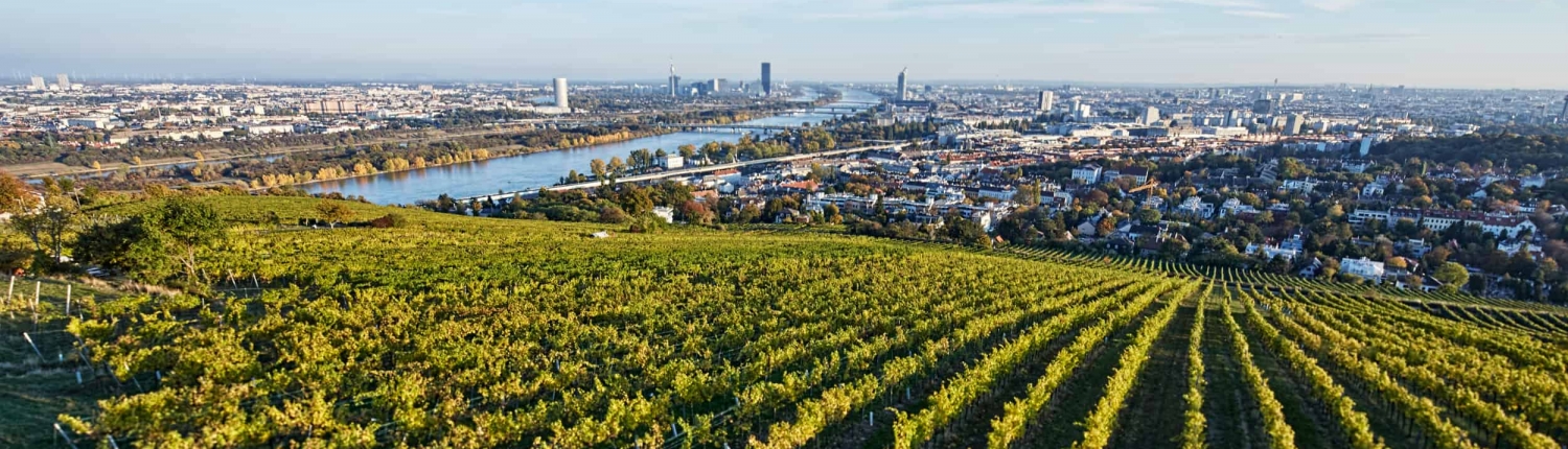 WienerLagen_161022_Gollin621E