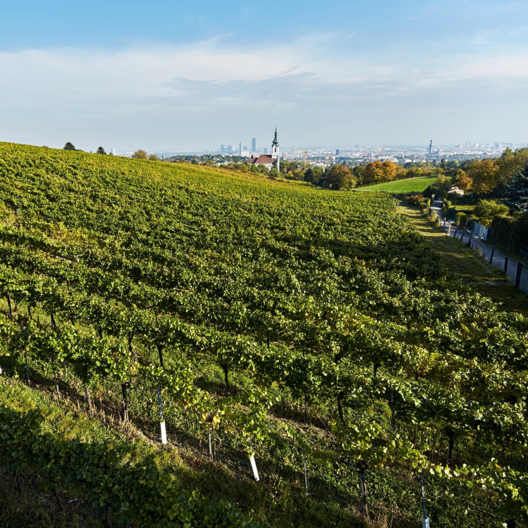 WienerLagen_161015_386Schenkenberg copy